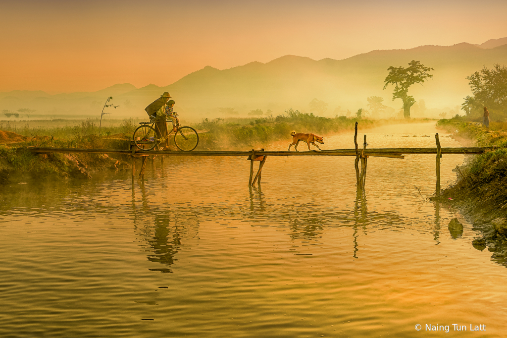 The bridge's morning