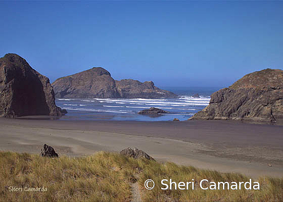 Oregon Coast - ID: 15847357 © Sheri Camarda