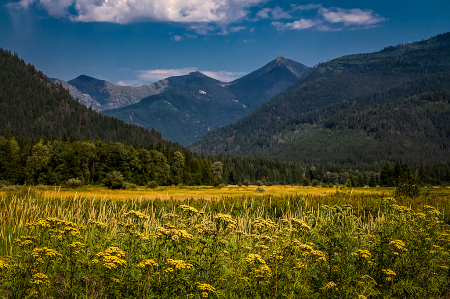 Bull River Valley