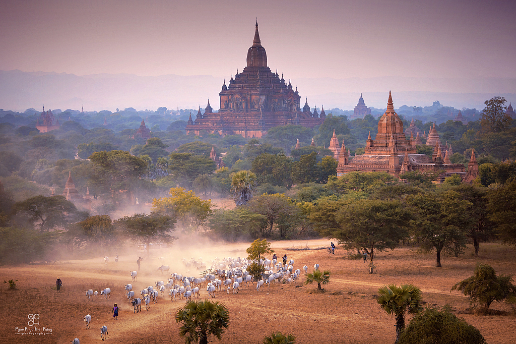 Historical Art of Bagan