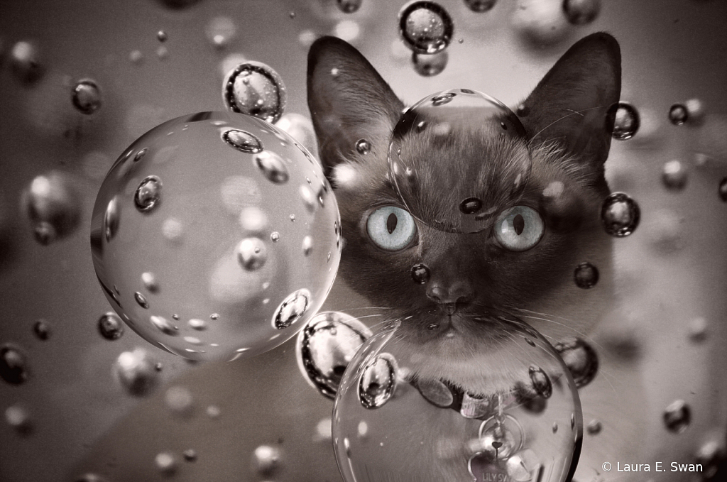 Bubble Baby