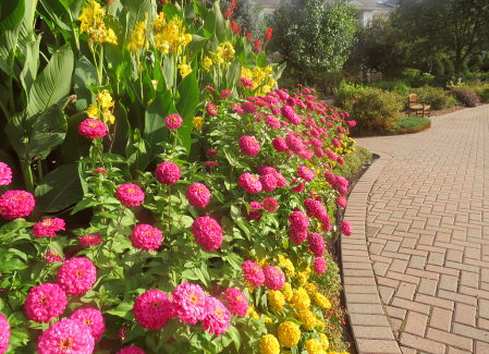 Garden At Clear Lake