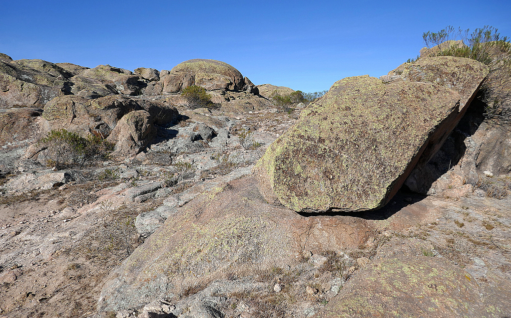 Rocks and lichens
