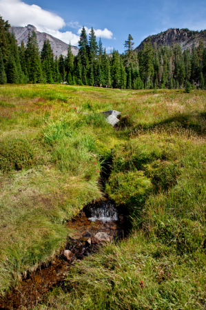 Upper Panther Meadows