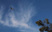 The Sky