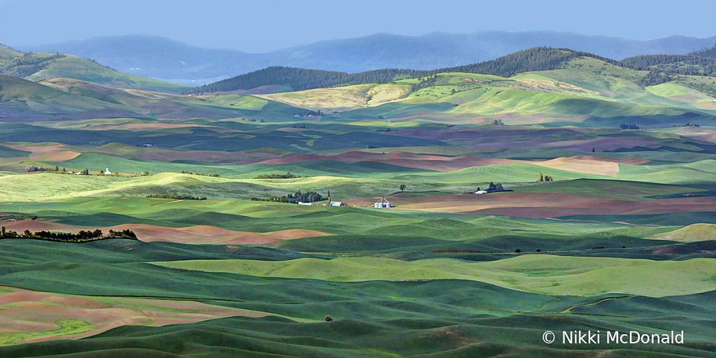 Palouse - Washington Farms No 9