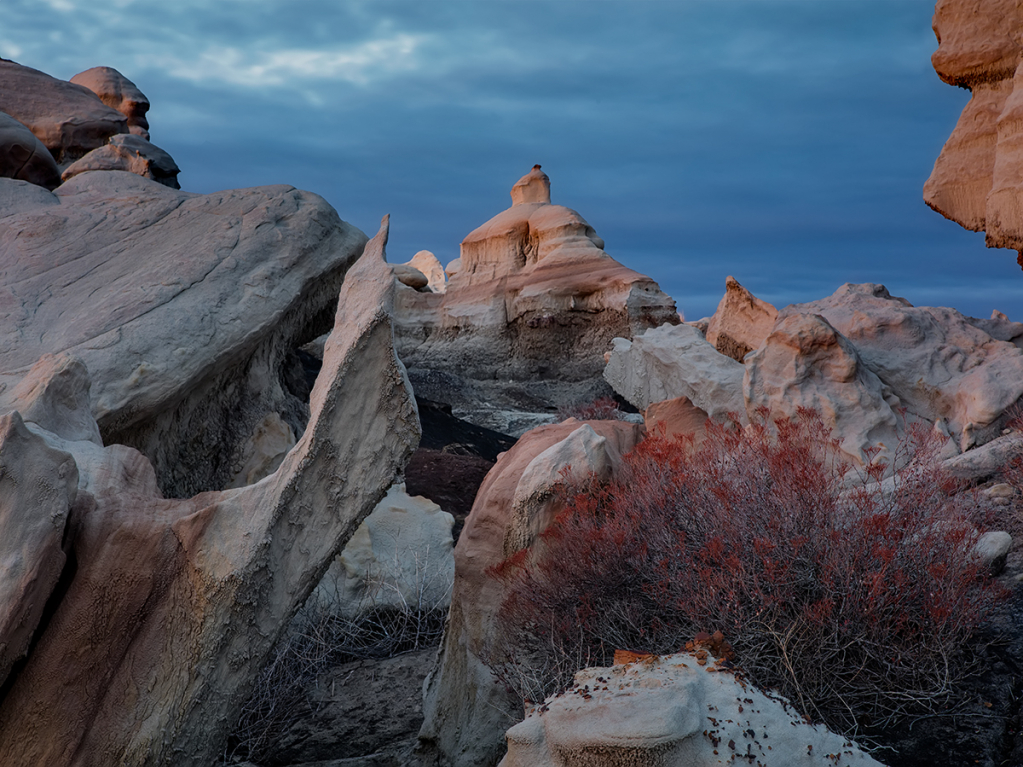 Bisti Badlands 5