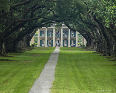 Oak Alley