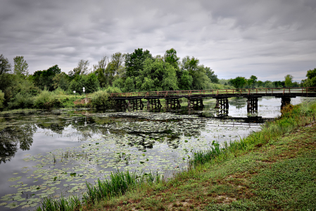 Bridge