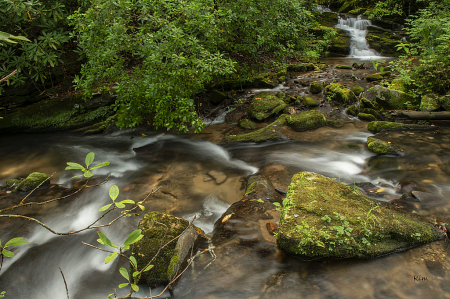 Chattahoochee National Forest