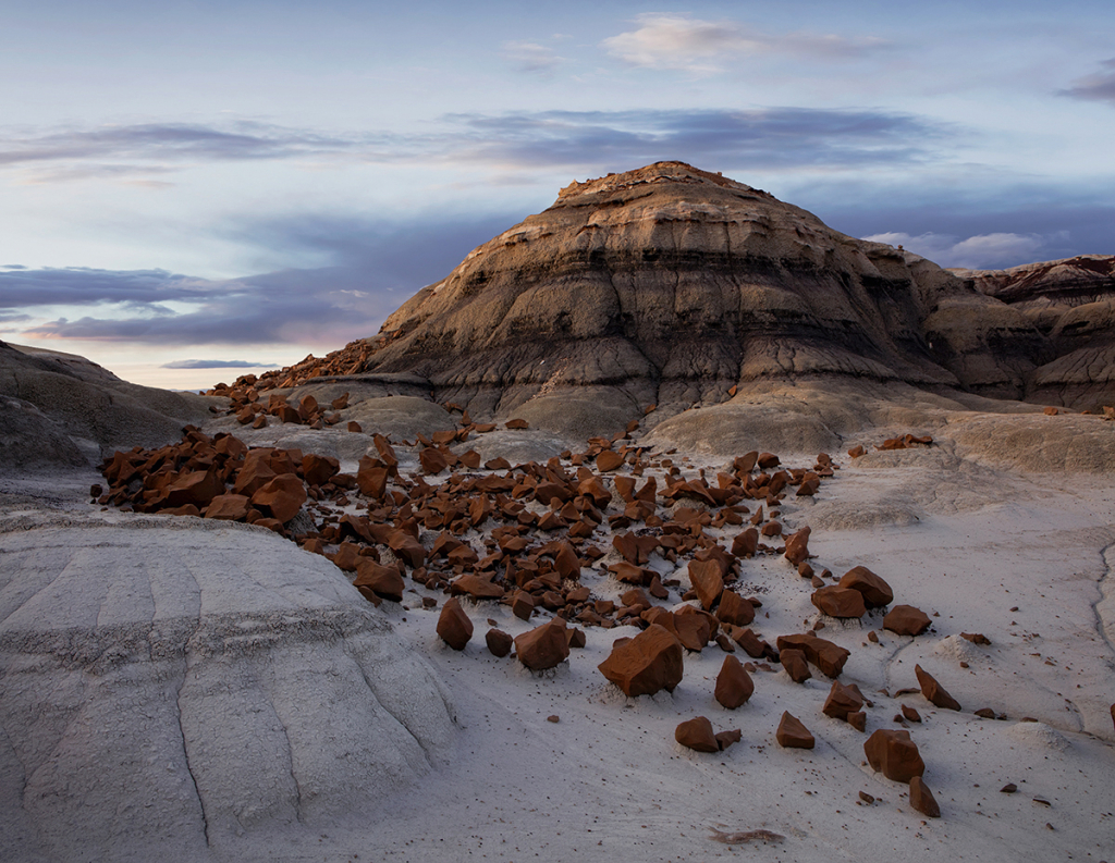 Bisti Badlands 11