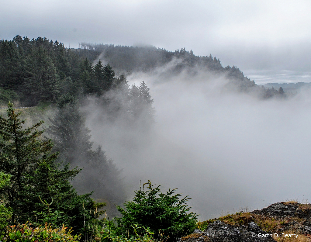 Fog from Cape Foulweather 
