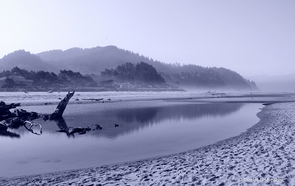 Foggy reflections on the Oregon Coast