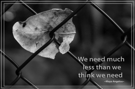 We Need Much Less...