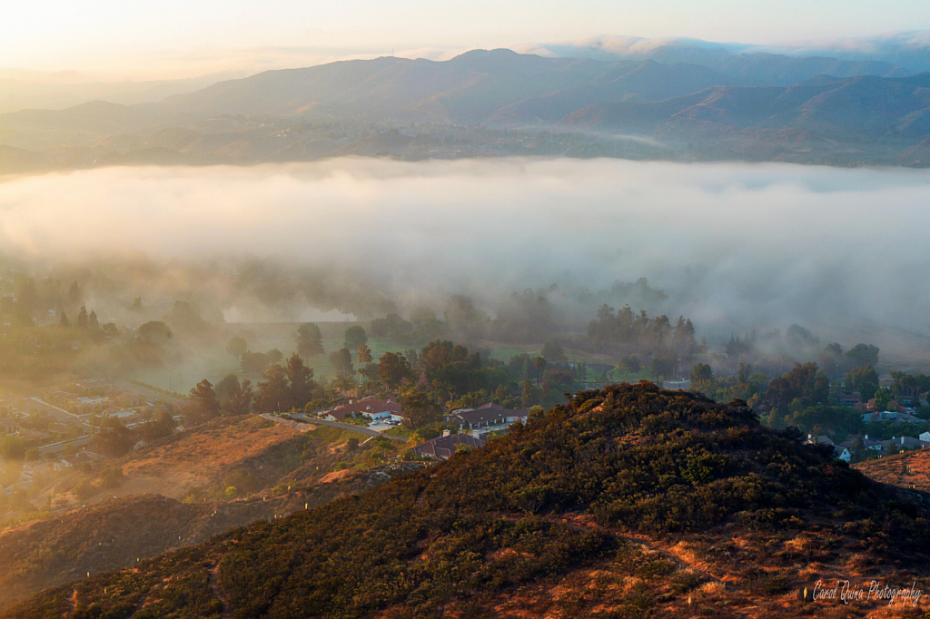 Misty Morning