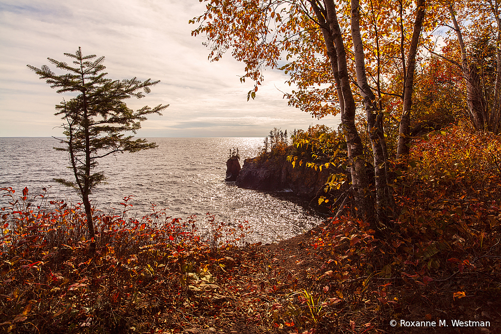 View of Lake Superior through fall trees - ID: 15849497 © Roxanne M. Westman