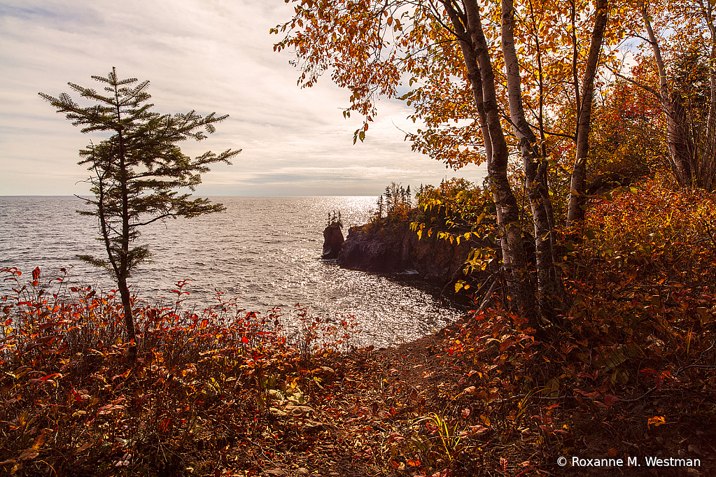 View of Lake Superior through fall trees