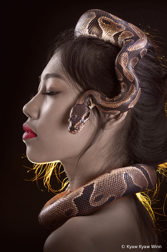 Beauty And Snake - ID: 15849632 © Kyaw Kyaw Winn