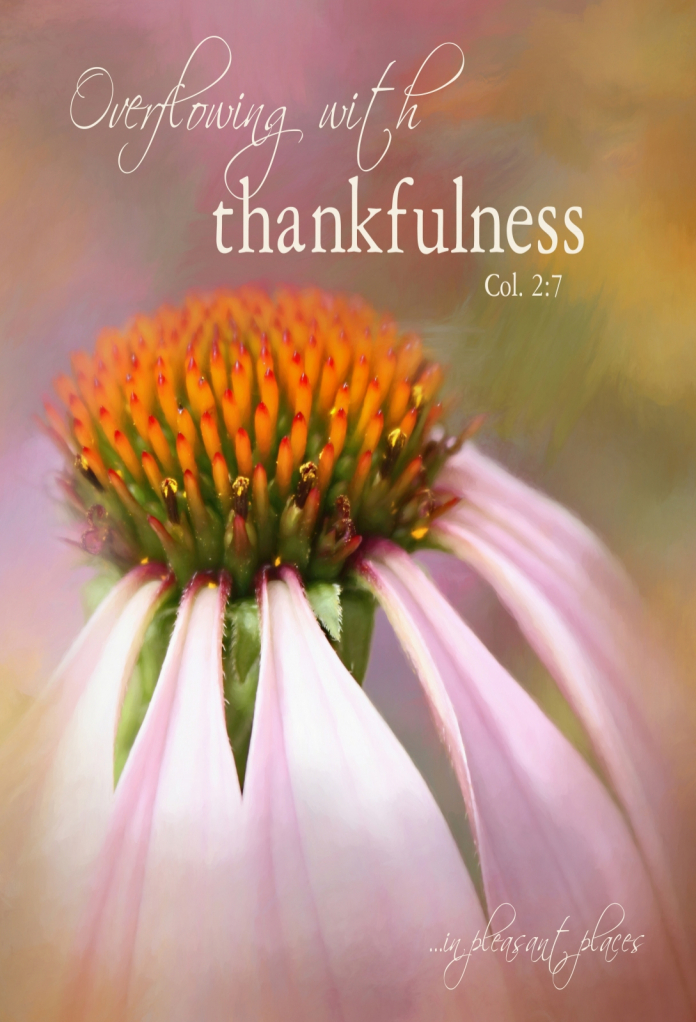 Thankfulness