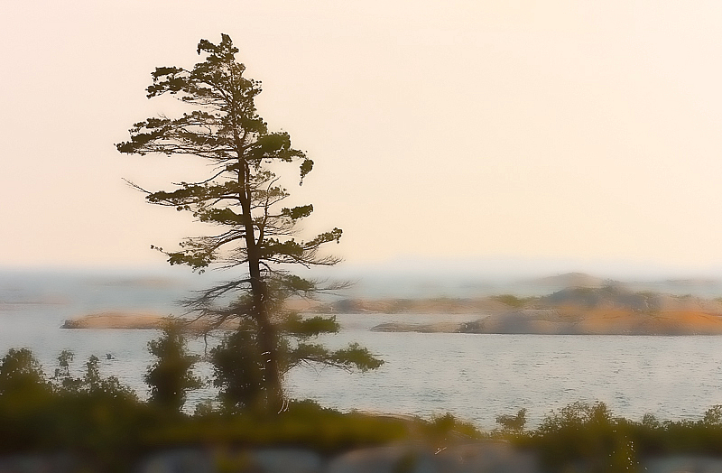 Georgian Bay Summer