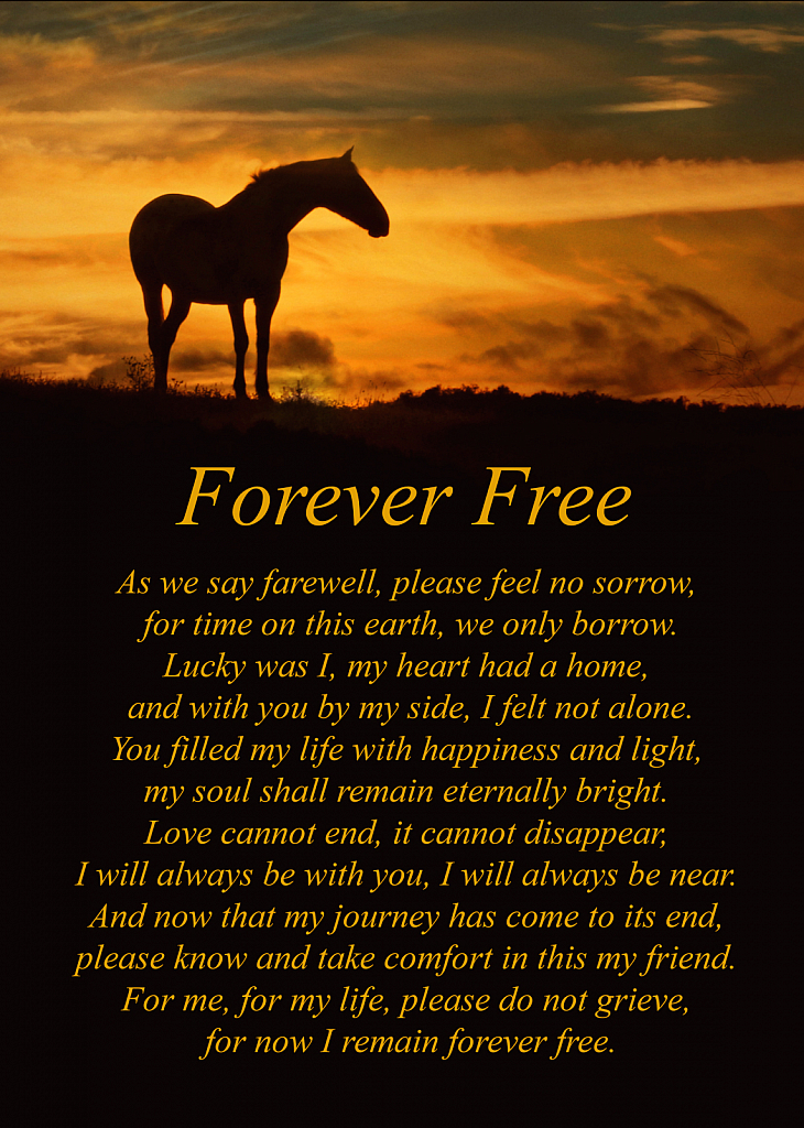 Forever Free