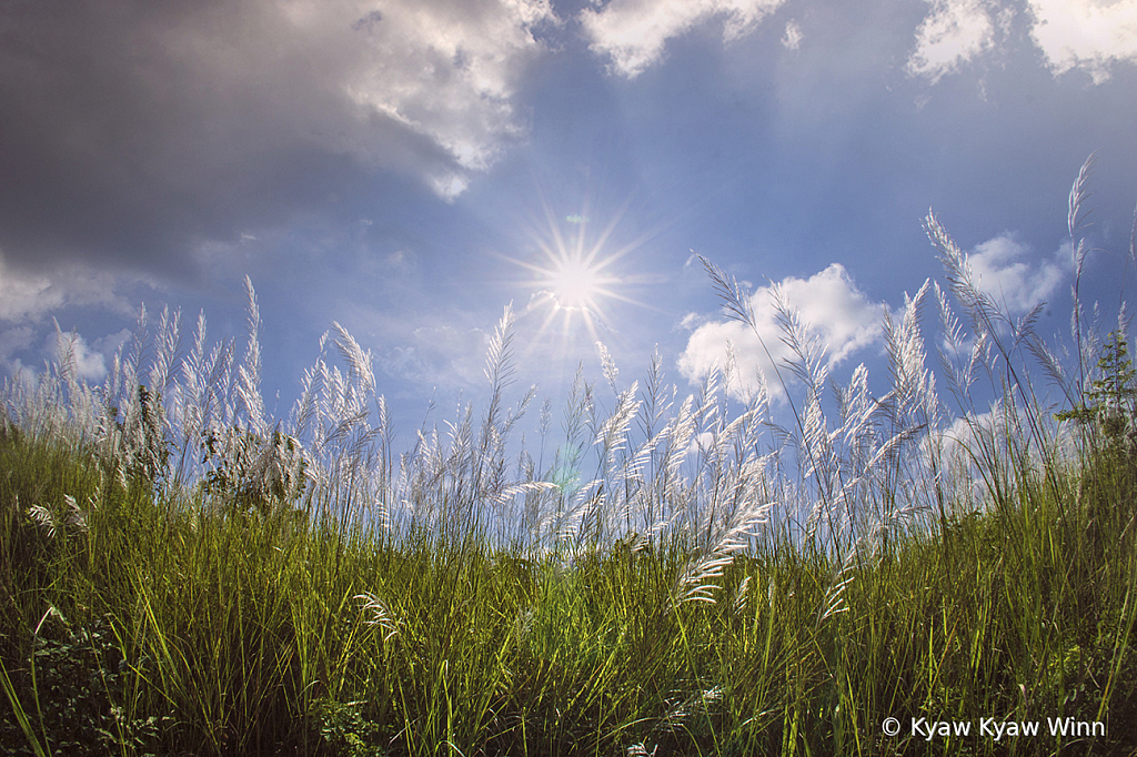 Sunstar - ID: 15850560 © Kyaw Kyaw Winn