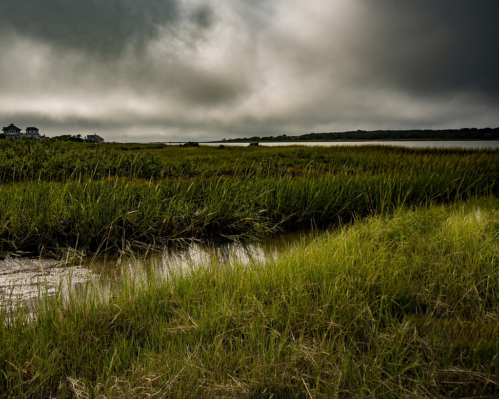 Stormy Wetlands