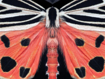 September 2020 Photo Contest 2nd Place Prize Winner