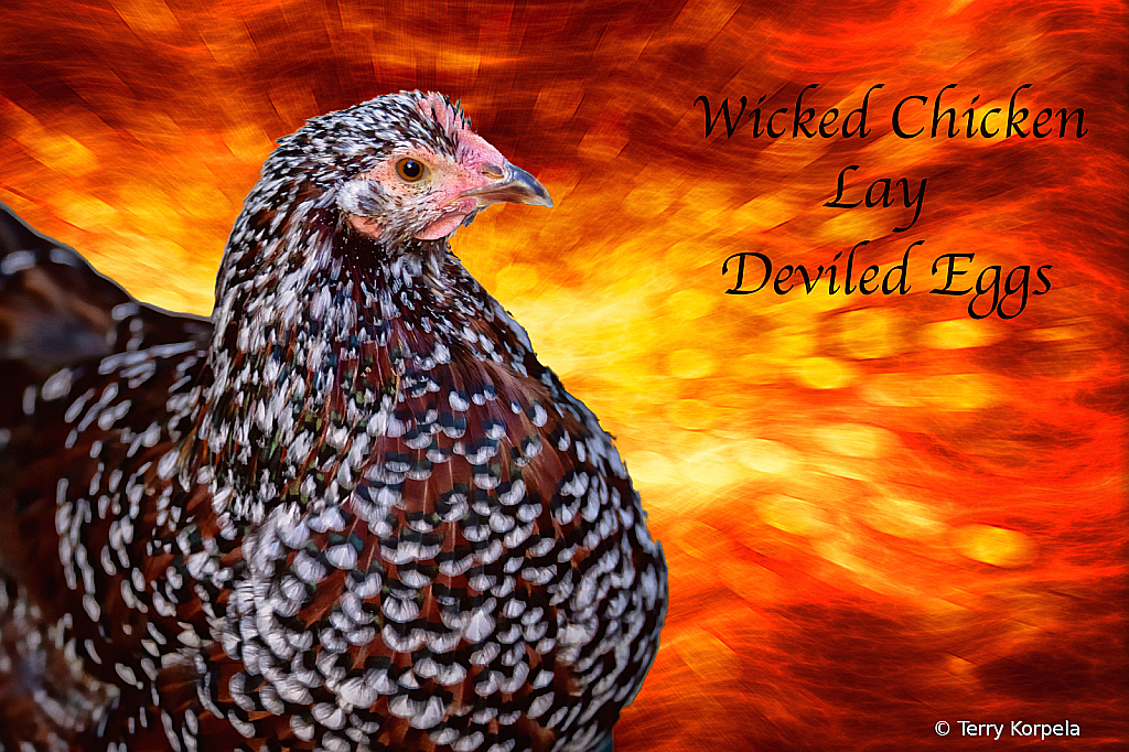 Wicked Chicken Lay Deviled Eggs