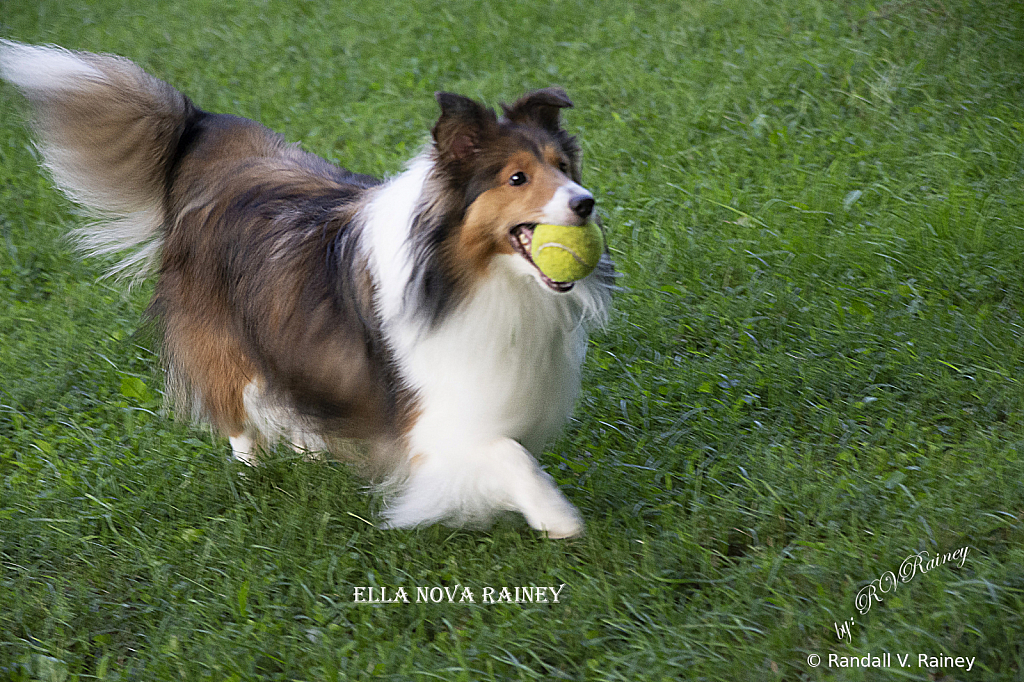 Ella at play