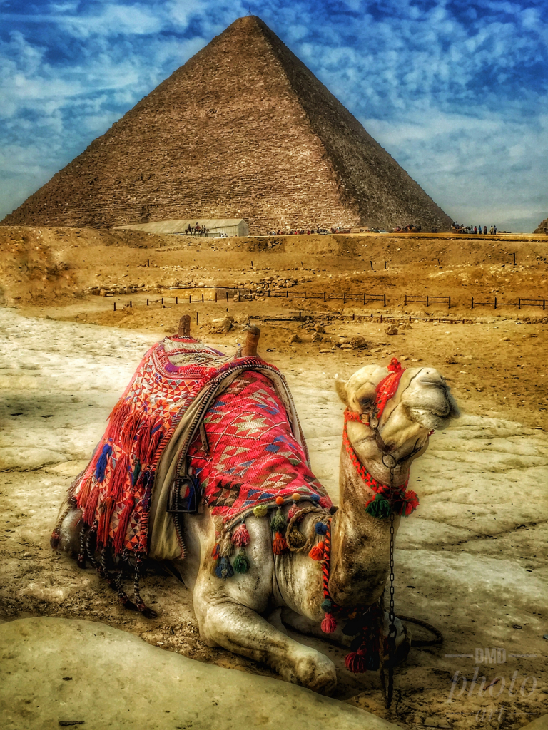 ~ ~ PYRAMID AND CAMEL ~ ~ 