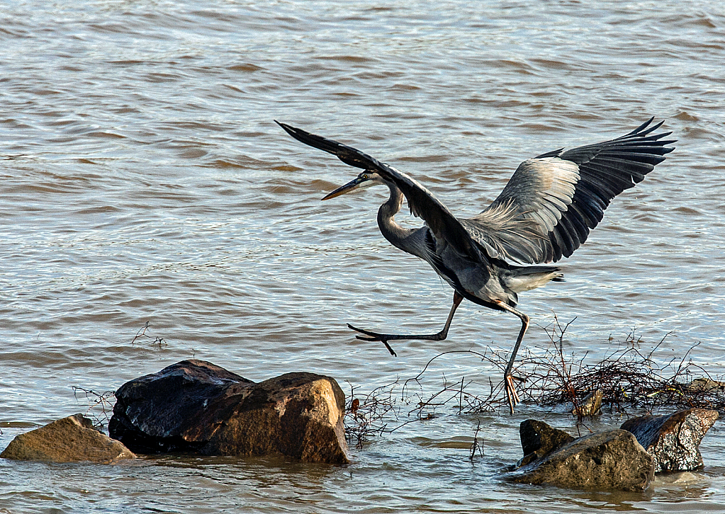 Changing Rocks - ID: 15851981 © Janet Criswell