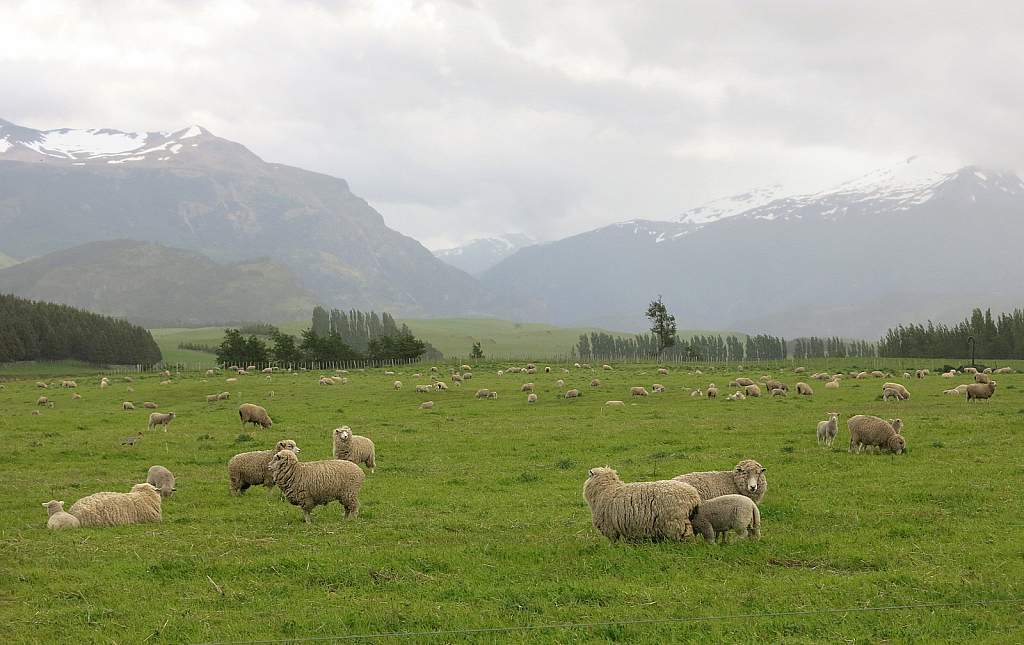 A storm approaching the grazing fields