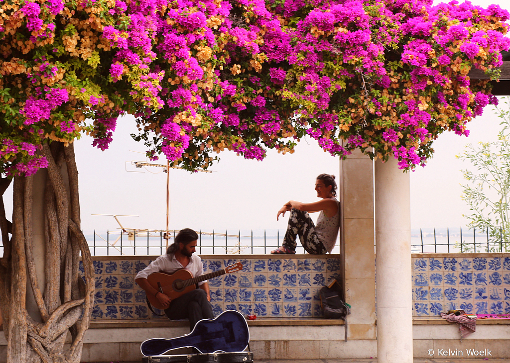 Lisbon Serenade