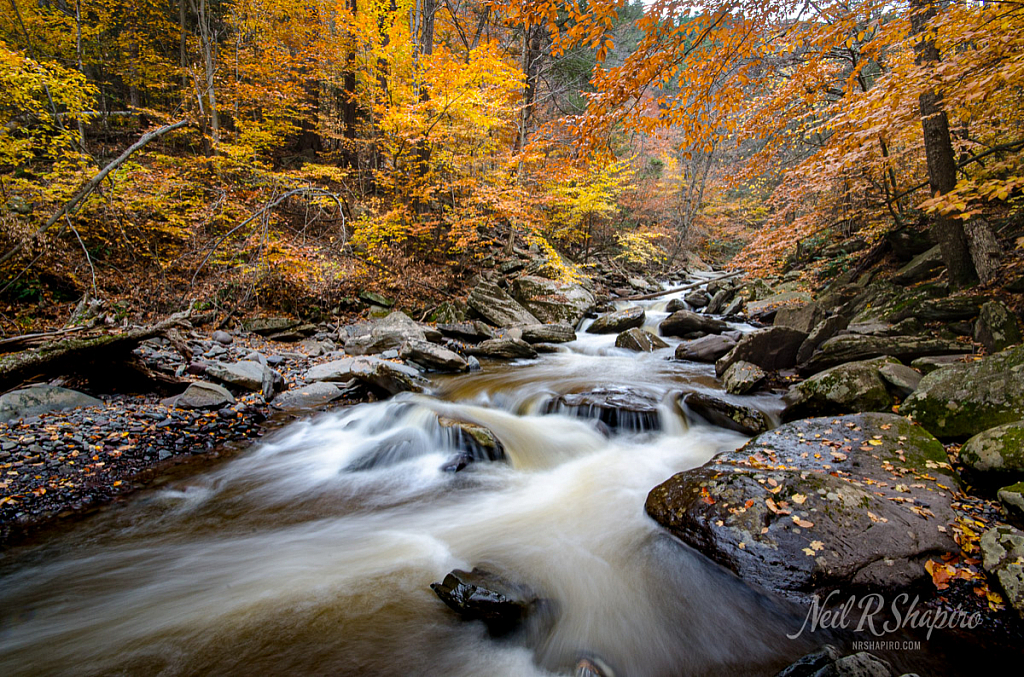 Fall Downstream