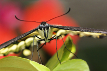 September 2020 Photo Contest 2nd Place Prize Winner