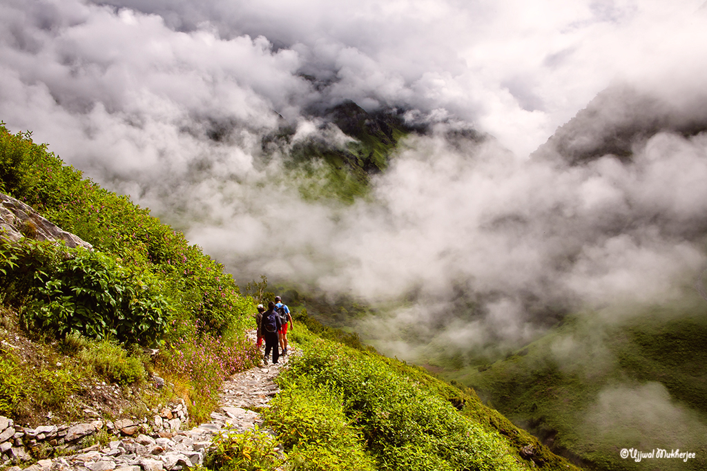 Into the Valley