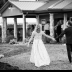 © Cindy J. Hiles PhotoID # 15853350: 202009182K6A31542