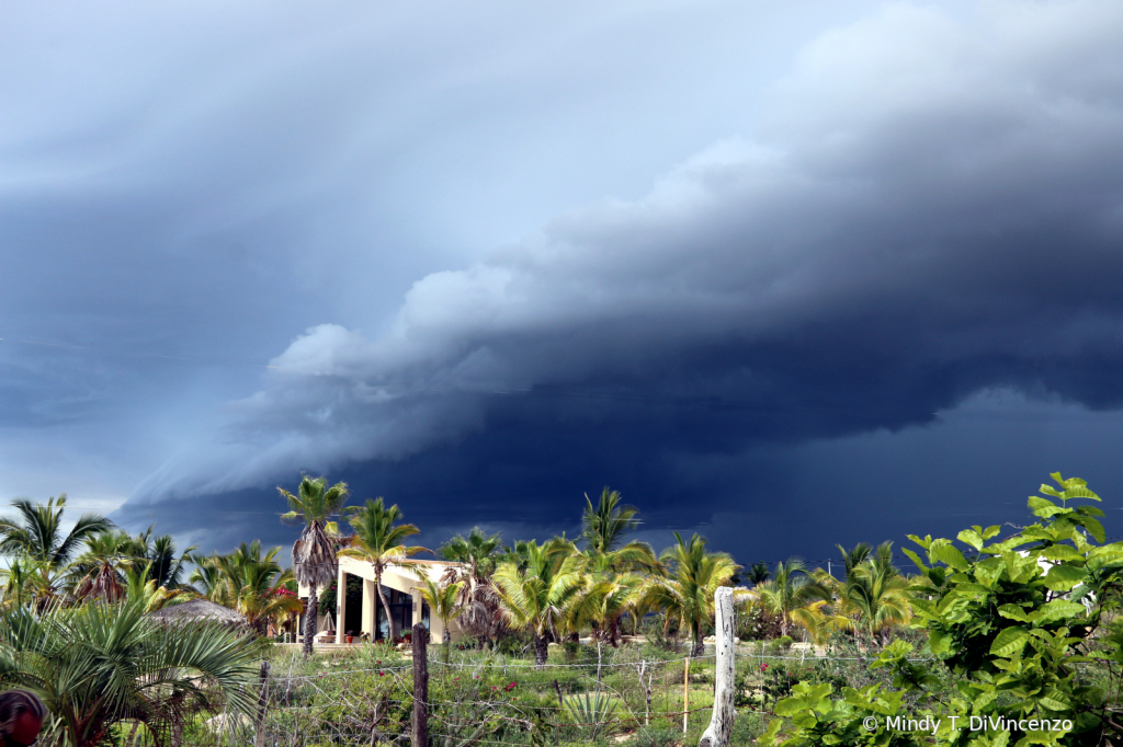 Summer Storm Clouds