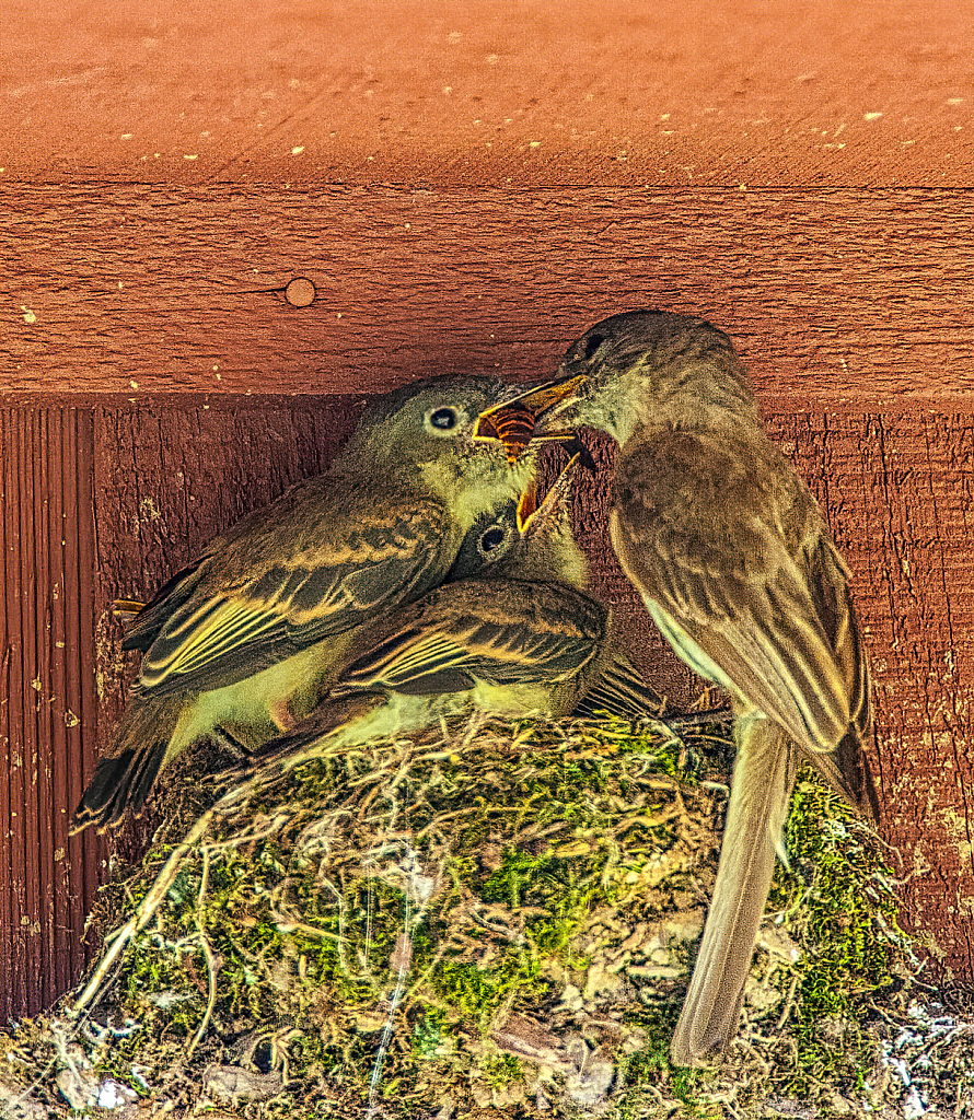 Working Mom - ID: 15854576 © Janet Criswell