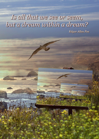 Edgar Allan Poe's In a Dream