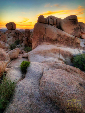 ~ ~ SUNSET BY JOSHUA TREE NATIONAL PARK ~ ~ 