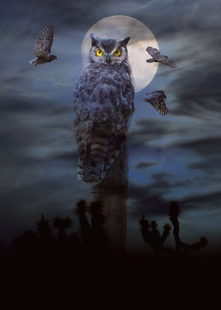 Happy "Owl"oween!