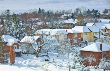 View from My Sunroom Window after a Snowstorm