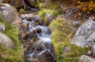 babbling brook