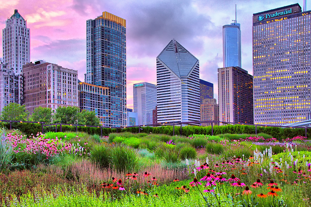 Chicago Summer Garden