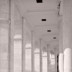 © Angela Atanasio-Medeiros PhotoID# 15855489: Elements of Design