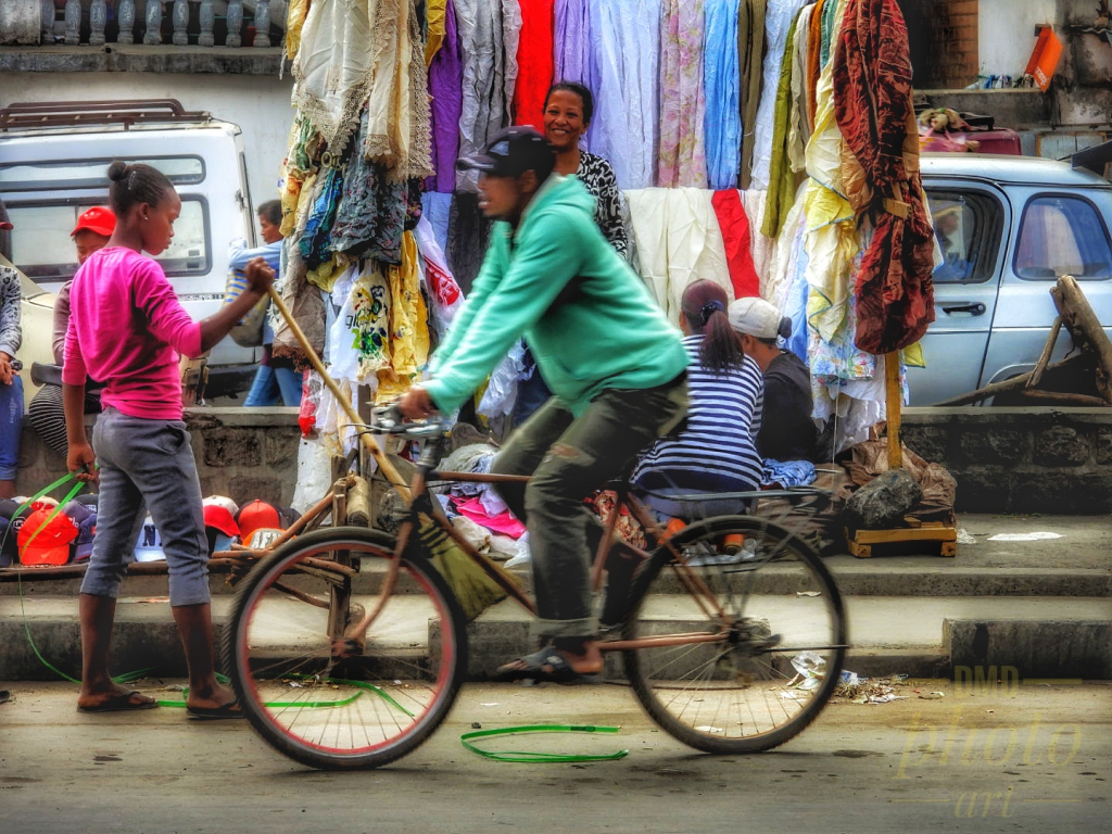 ~ ~ THE BICYCLISTS ~ ~ 