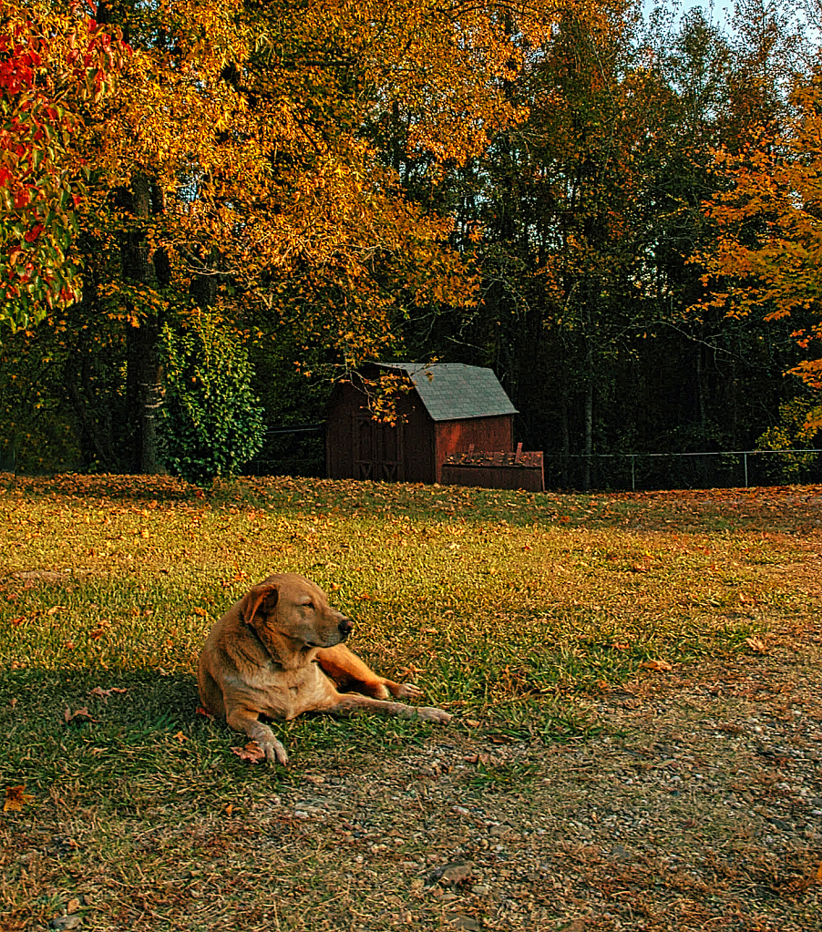 Enjoying the Autumn Sunset