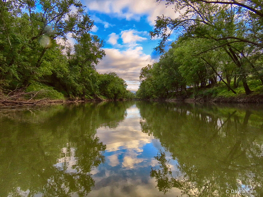 View From My Kayak